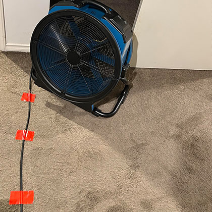 Emergency Flooded Carpet Drying Melbourne Carpet Drying Photo Inspiration